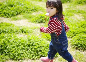 狛江の学習塾、やる気を引き出す「ファミラボ」