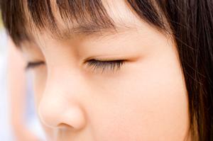 保育士と幼稚園教諭と小学校教諭の資格がとれる