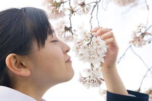 インドネシア語の勉強ならここでできます